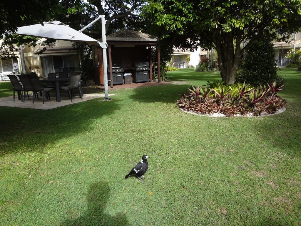 Noosa Gardens Riverside Resort Noosaville Ruang foto