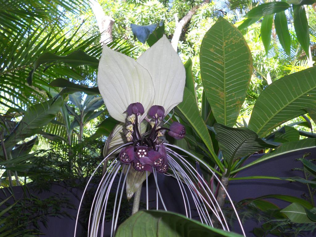 Noosa Gardens Riverside Resort Noosaville Bagian luar foto